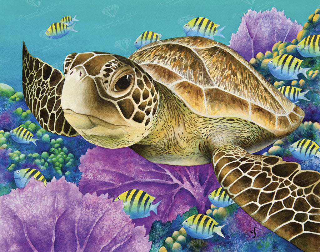 Sea Turtle In Coral Reef Official Diamond Painting Kit