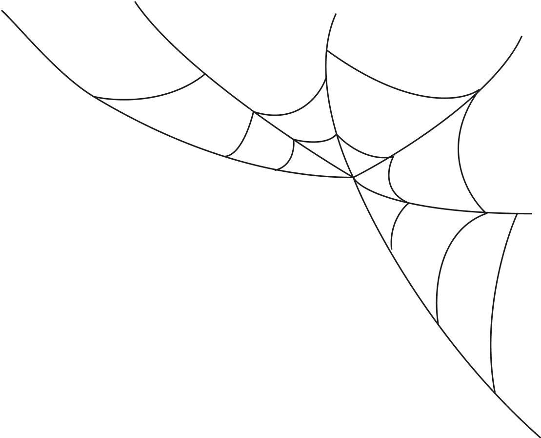 spider-web